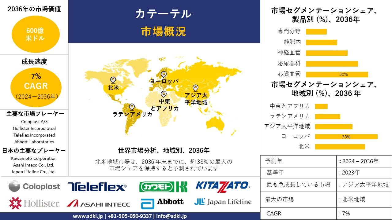 1712644448_3168.global-catheter-market-survey-report.webp